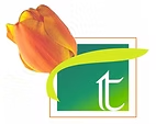 tulip